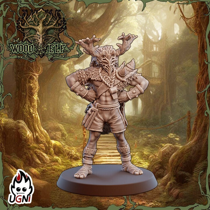 Coach - Wood Elf Team fantasy Football