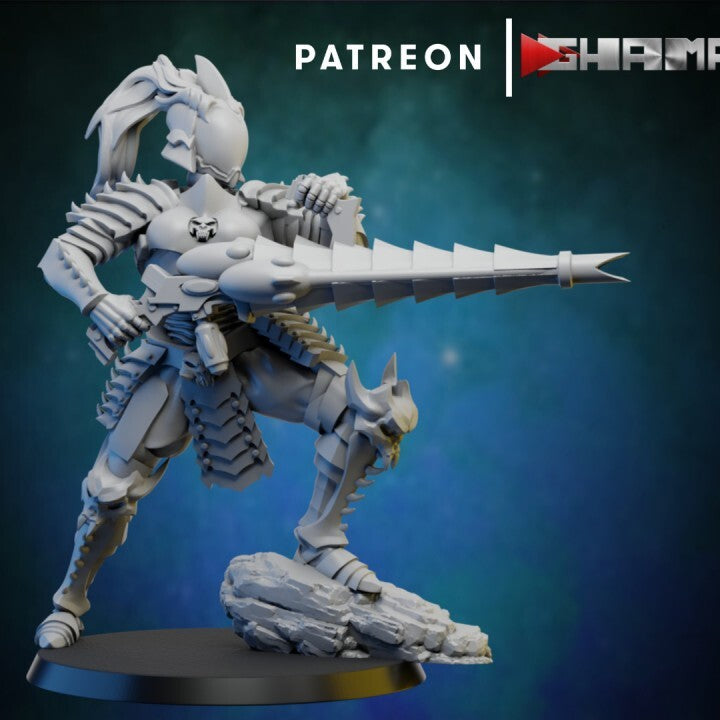 Dark elda cabal elfes noires convient a warhammer 40000