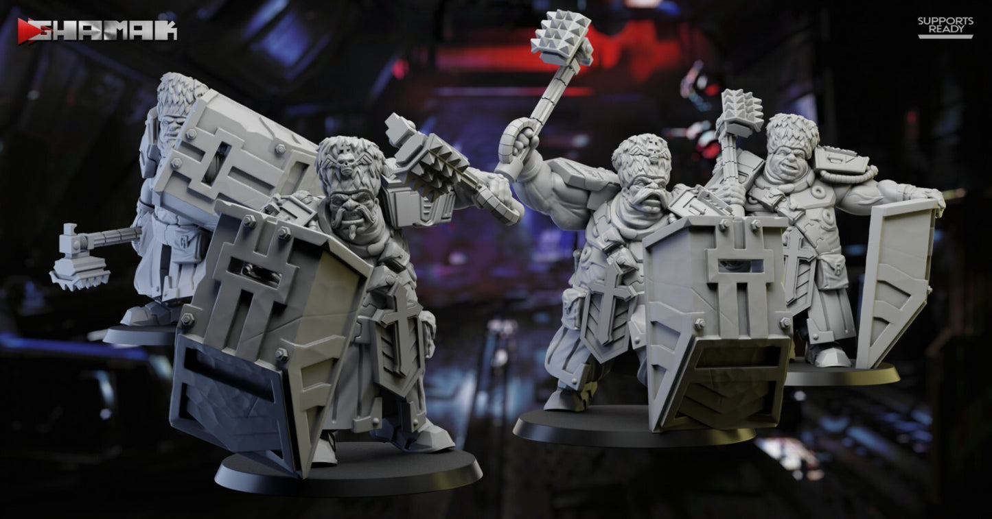 Firstborn Ogre Hammer and schield