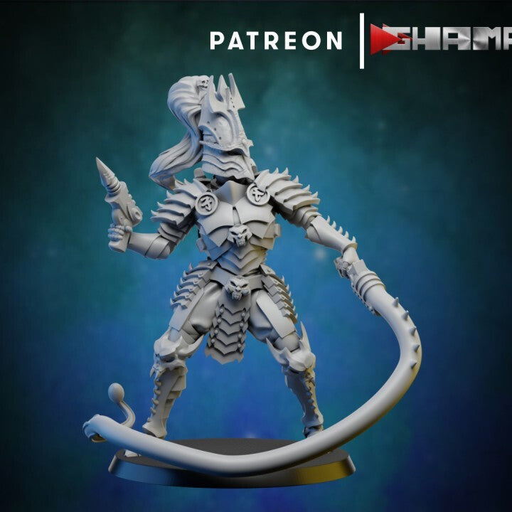 Dark elda cabal elfes noires convient a warhammer 40000