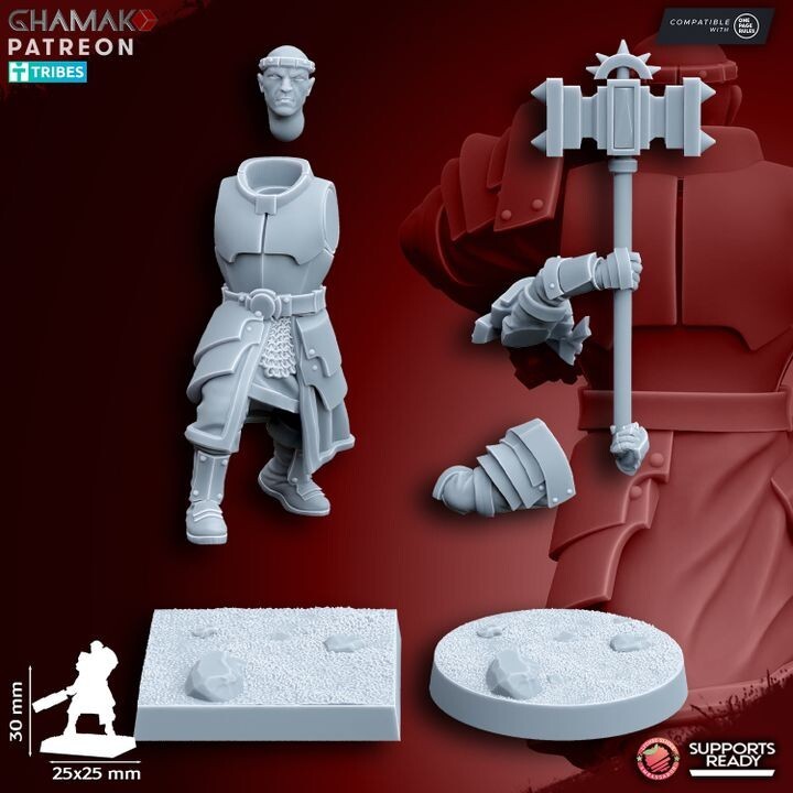 Priest of Grimwald avec les socles