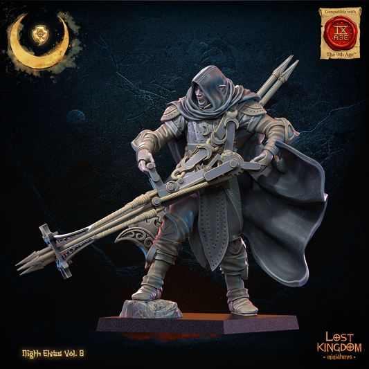 seigneur elfes noires