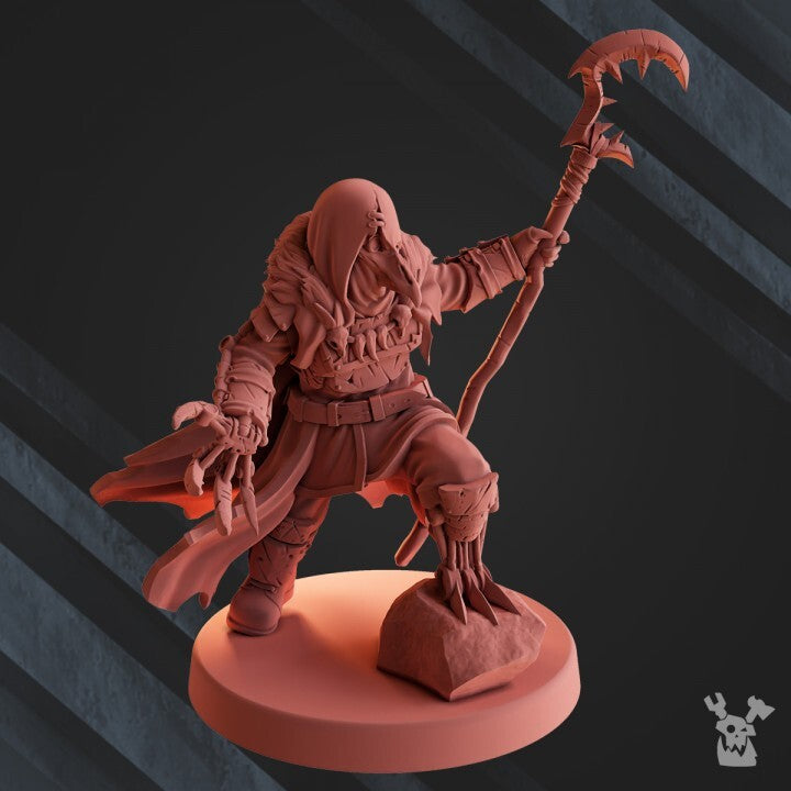 Vultures Hezur - Priest of Gore imperial du chaos