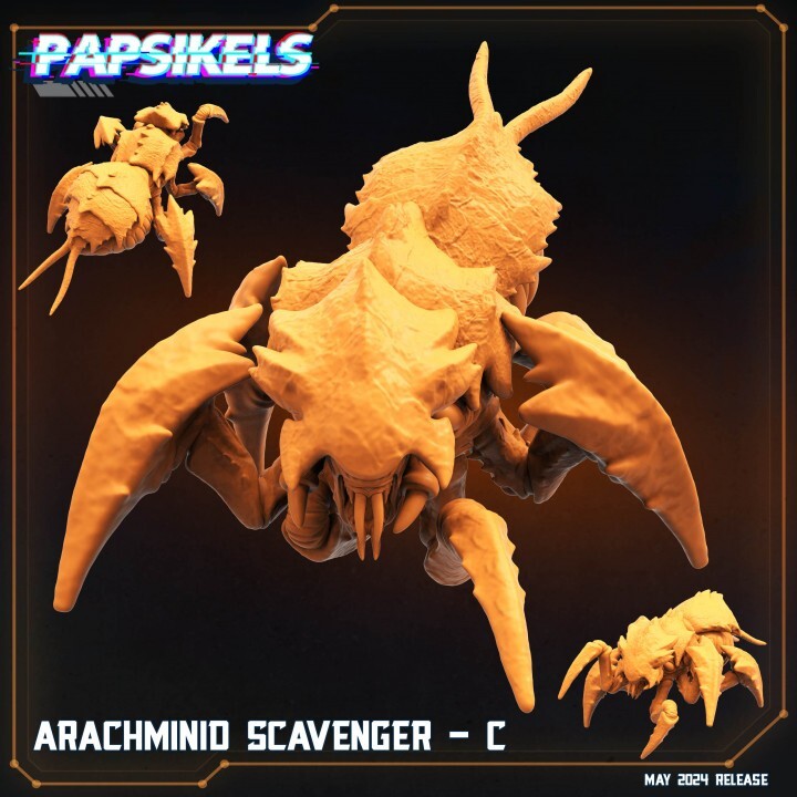 arachminid scavenger