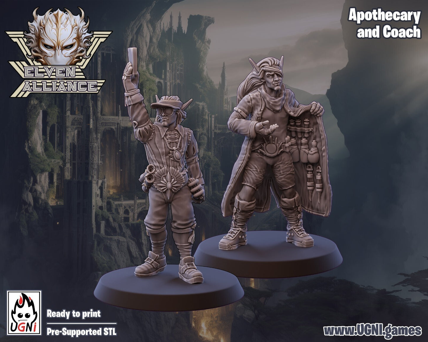 coach et apothicaire elfe Fantasy Football convient a bloodbowl