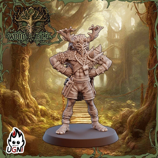 Coach - Wood Elf Team fantasy Football