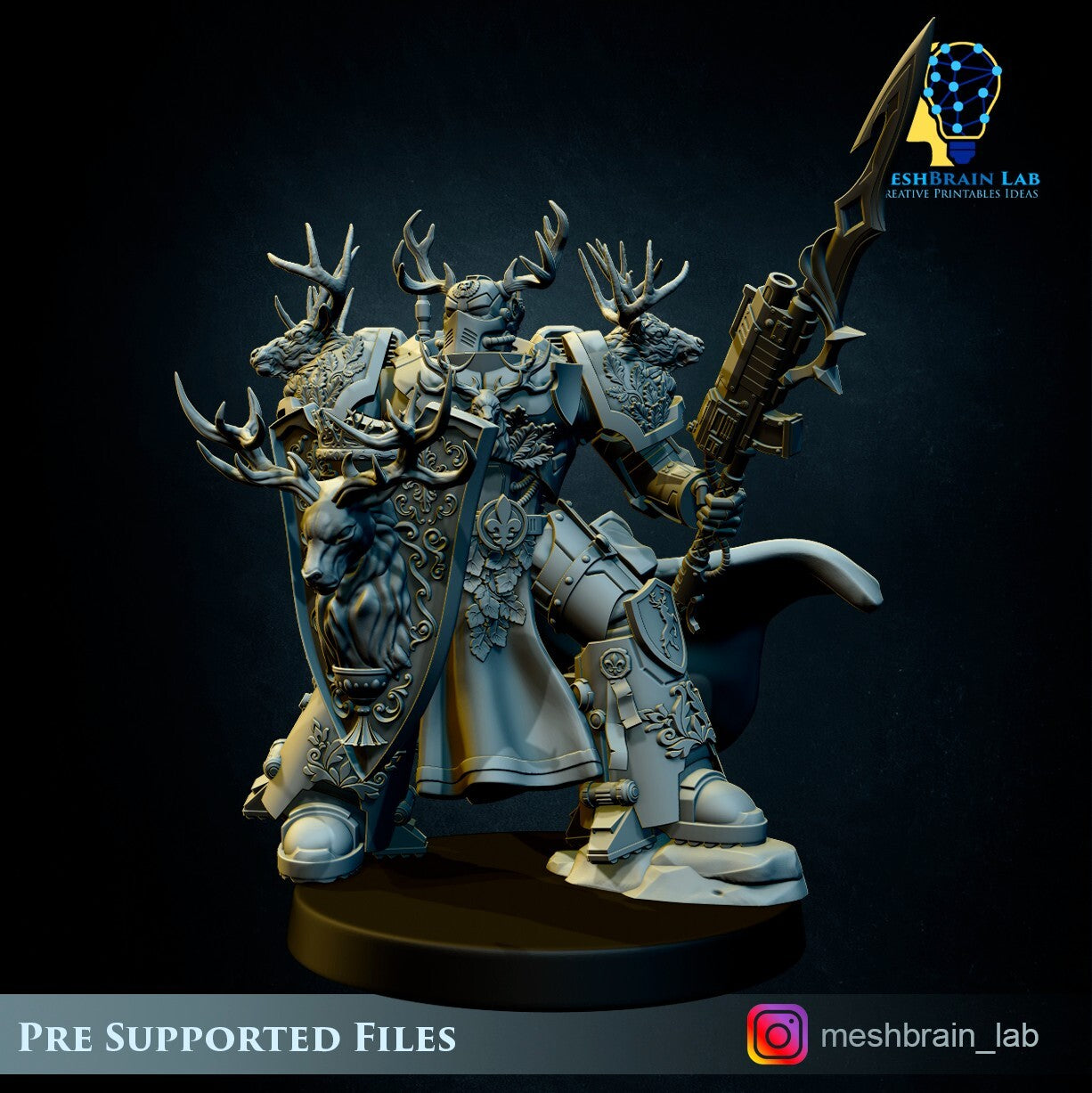 Imperial Marine Master of the order 