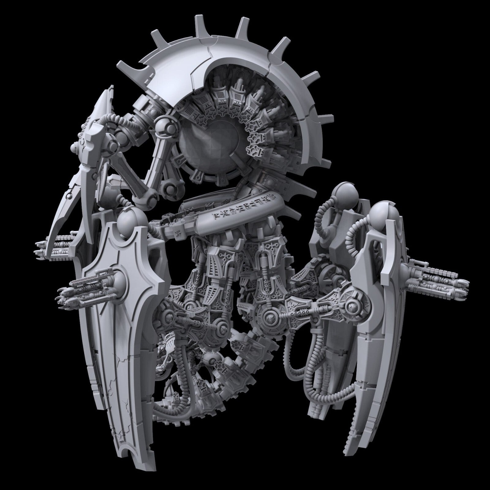 Heteropterekh seigneur de bataille