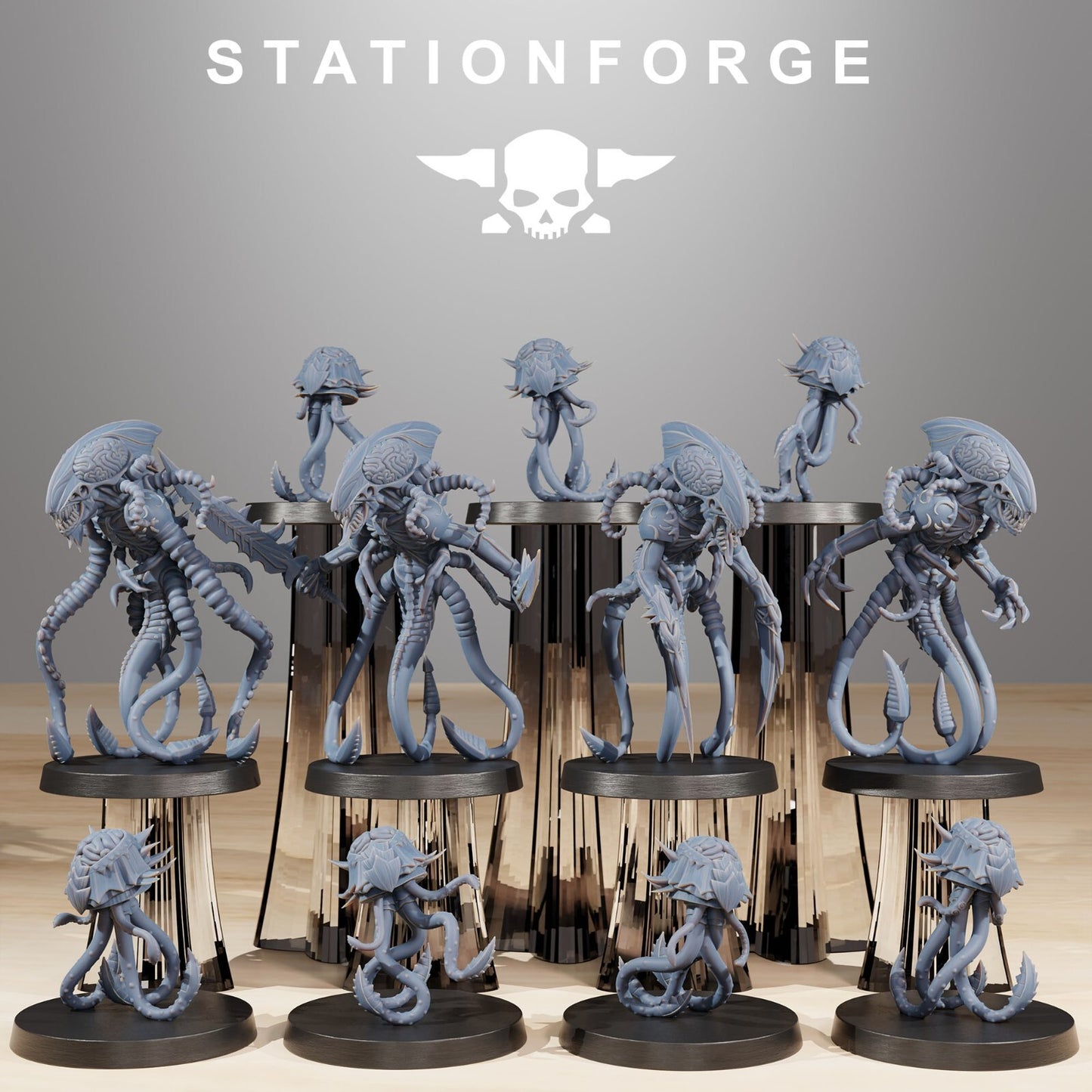 Xenarid Synaptrus de chez station forge