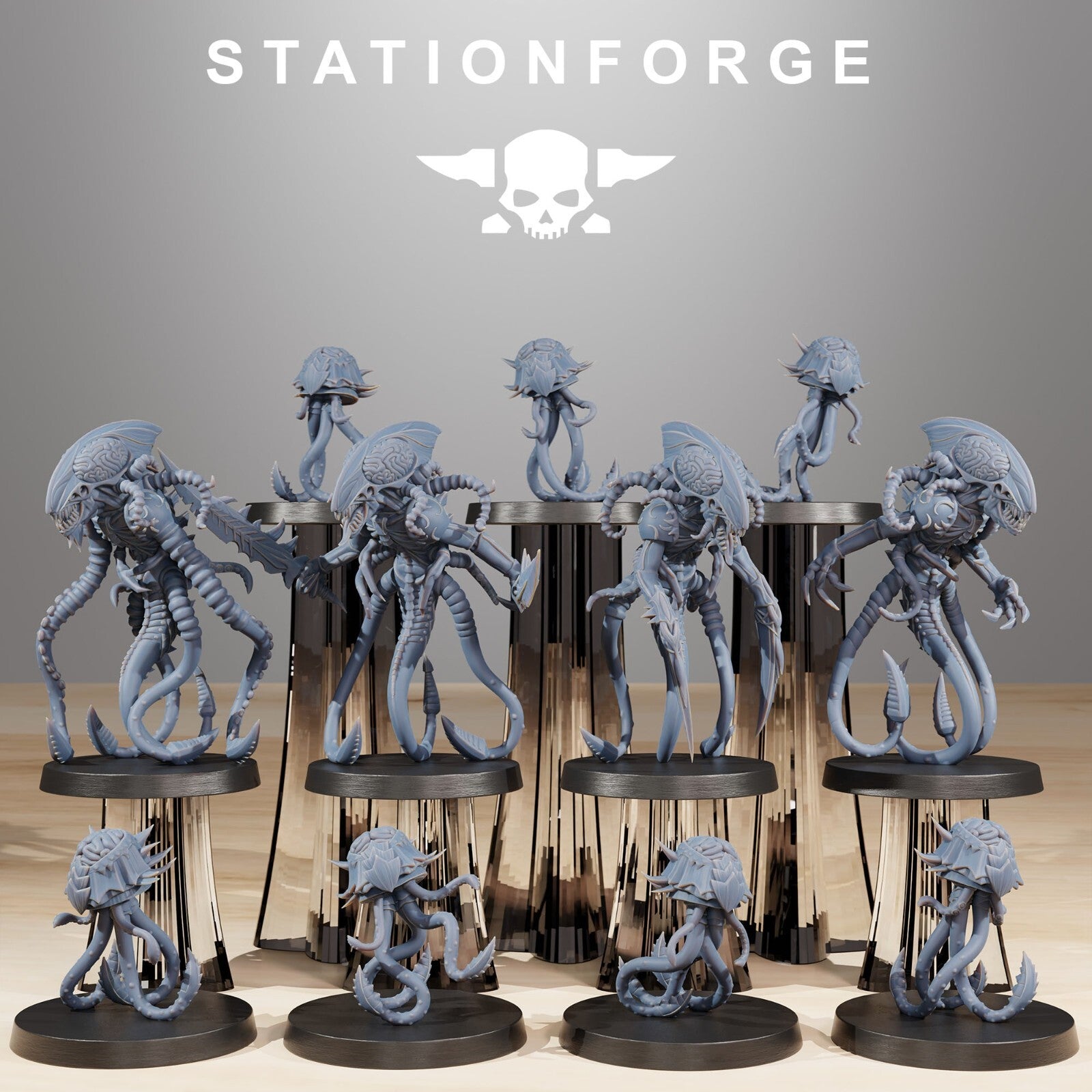 Xenarid Synaptrus de chez station forge