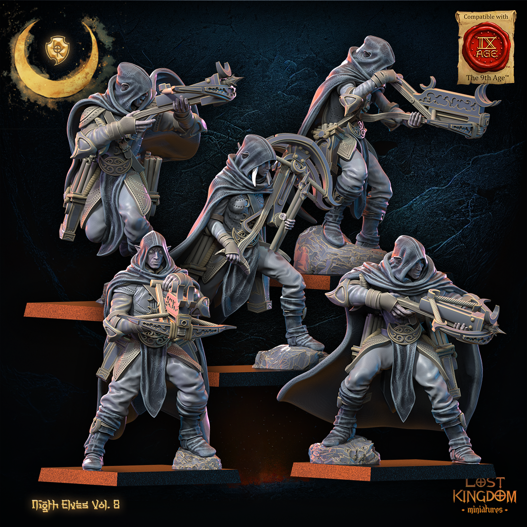 5 arbaletriers elfes noires