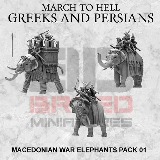 3 elephants de guerres macedonian 15mm