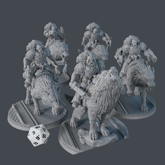 cavalerie space viking