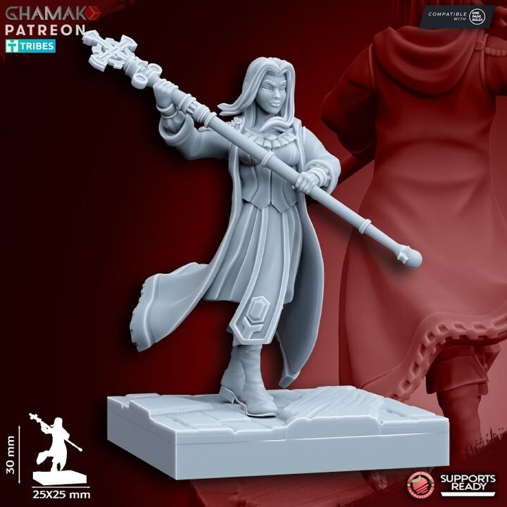 Sunev Wizard on foot avec les socles