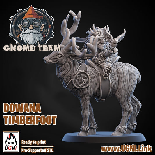 dowana timberfoot gnome star players equipe gnome fantasy Football