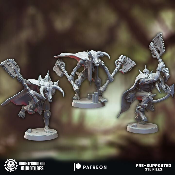 Pagan Marauders chaotique 