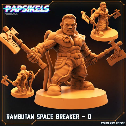 RAMBUTAN SPACE BREAKER - D