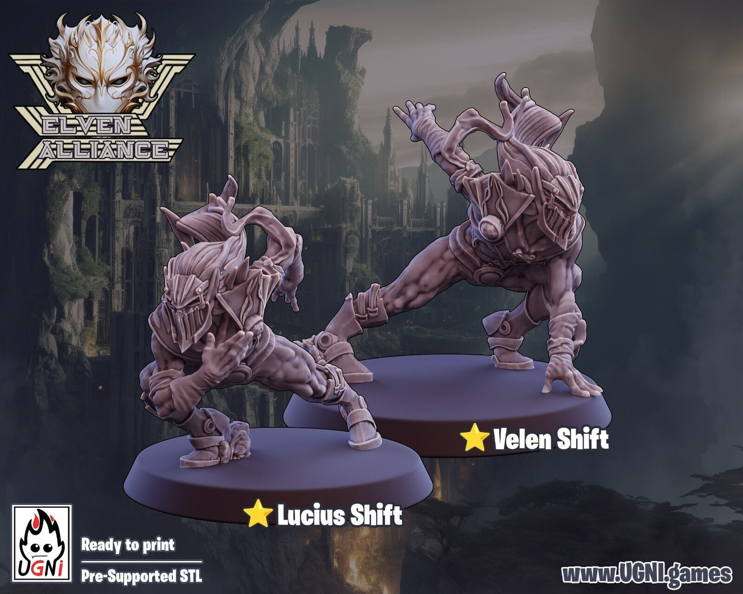 2 star player elfes noires  fantasy Football