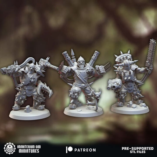 Viking destroyers chaotique 