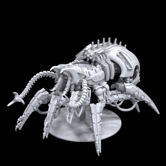 Teknops Amotrechidek