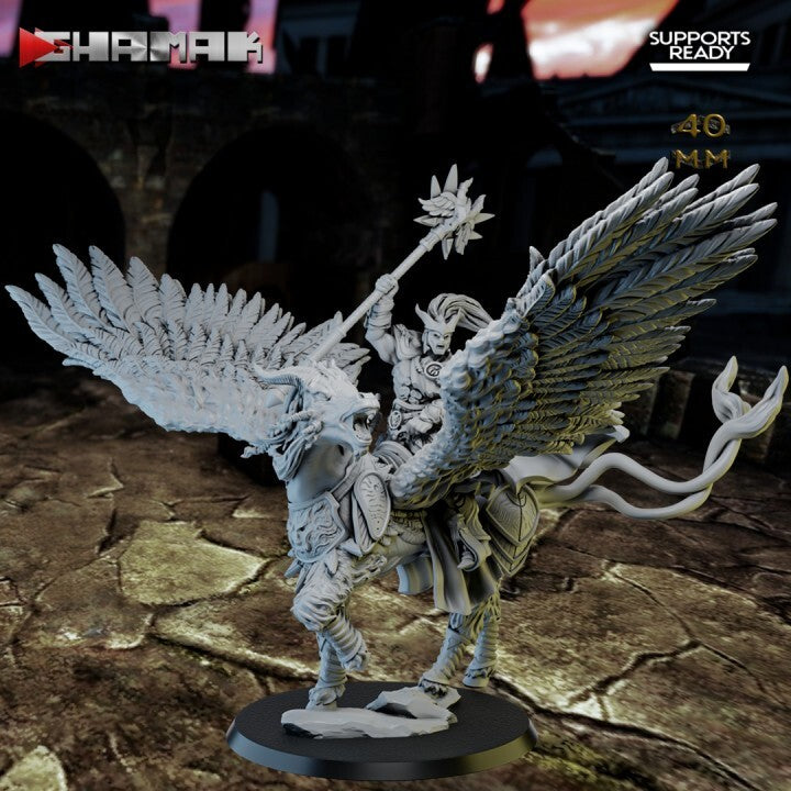Spartancast Pegaso Mage rider