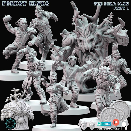 Forest Elves Part 1 - The Bear Clan fantasy convient a bloodbowl