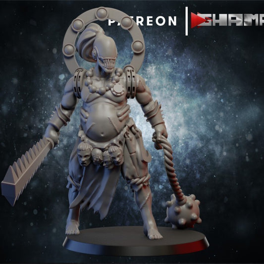 Dark elda Ikisa elfes noires convient a warhammer 40000