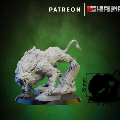 5x dents de sabre persian