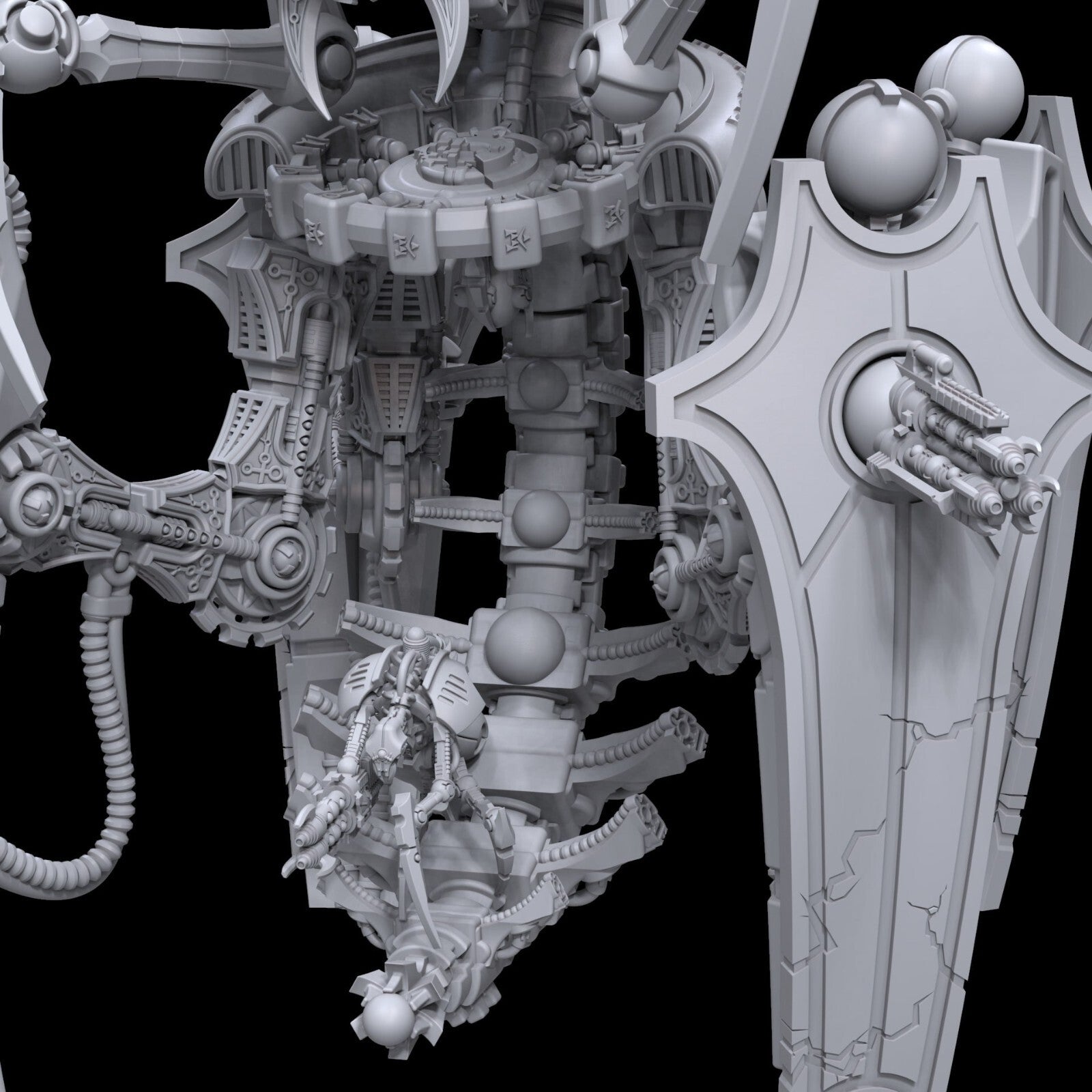 Heteropterekh seigneur de bataille