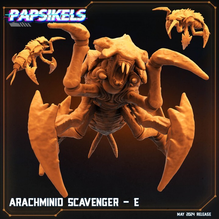 arachminid scavenger