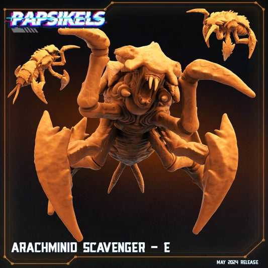 arachminid scavenger