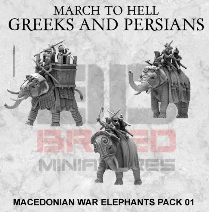 3 éléphant macédonien  15mm