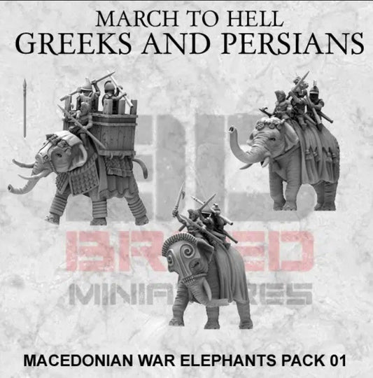 3 éléphant macédonien  15mm