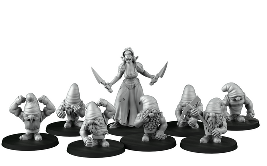 equipe gnome plus blanche neige fantasy convient a bloodbowl