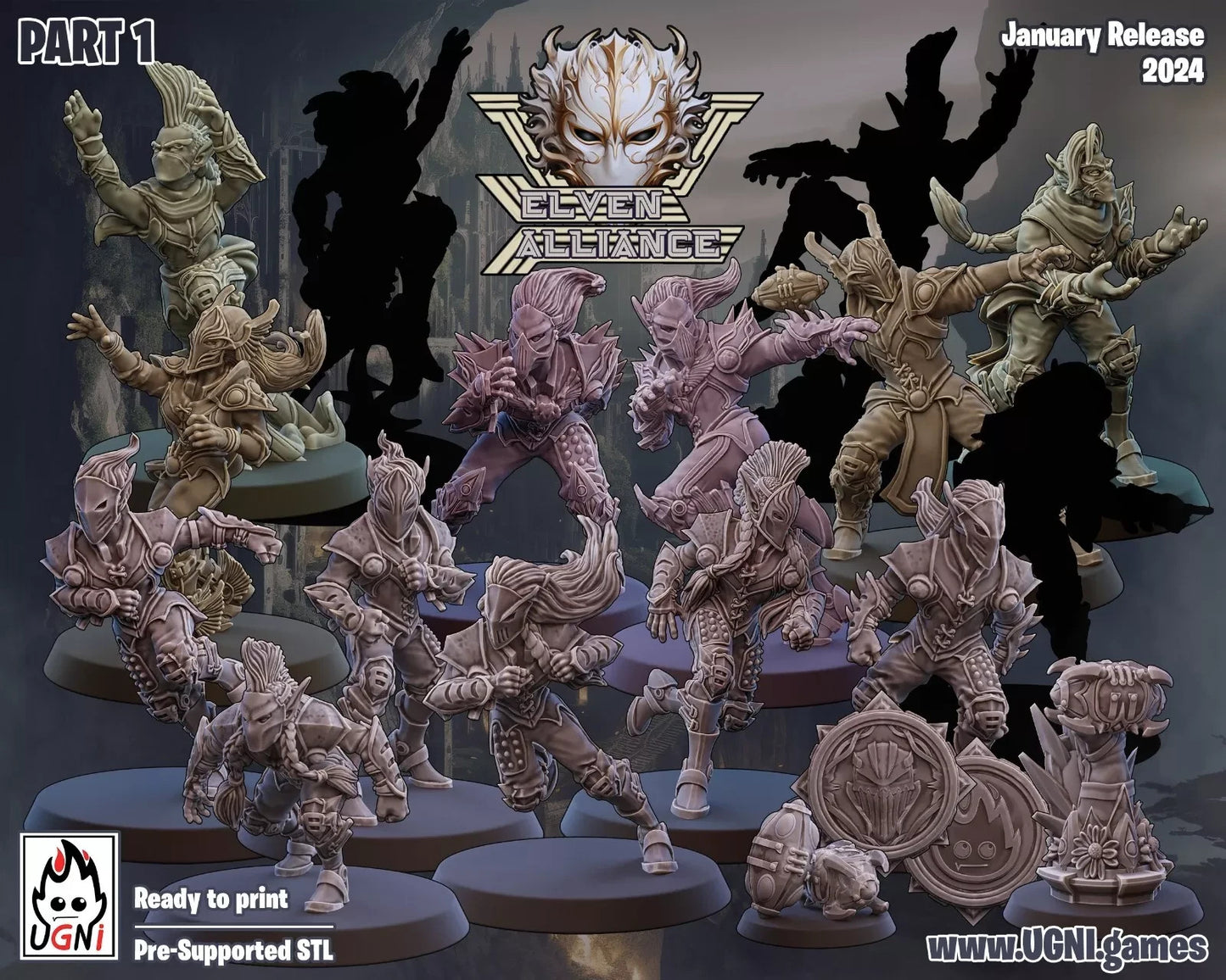 Elven Alliance Team (Regular Style) equipe elfes noirs fantasy football