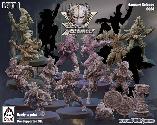 Elven Alliance Team (Regular Style) equipe elfes noirs fantasy football