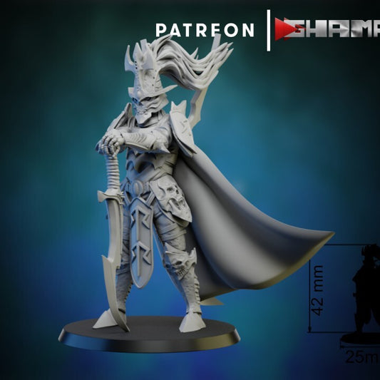 Dark elda  archon  elfes noires convient a warhammer 40000