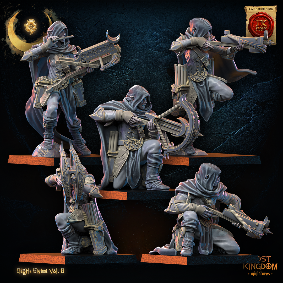 5 arbaletriers elfes noires 