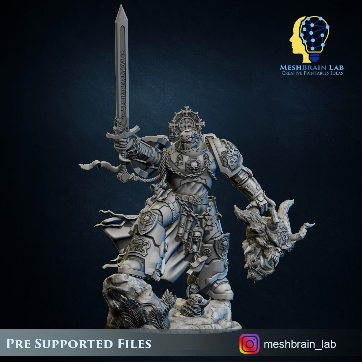 champion electus  compatible black templar
