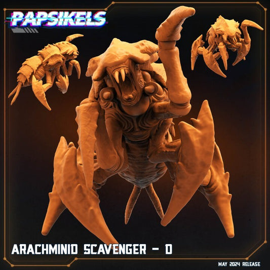 arachminid scavenger