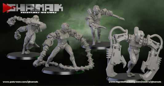 archo flagellant compatible soeurs de batailles