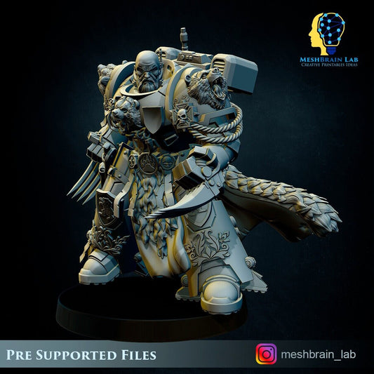 Imperial Marine Master of the order 