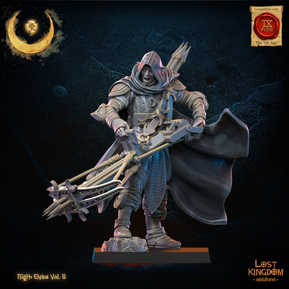 seigneur elfes noires 