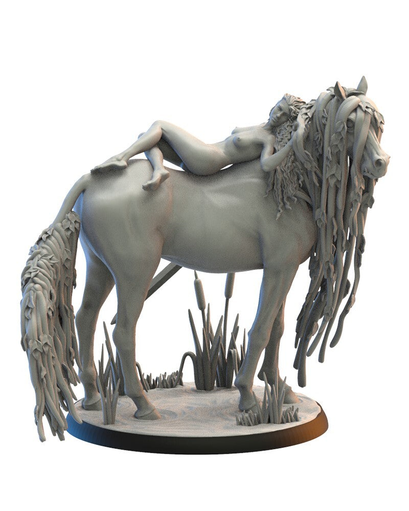 sorciere des marais compatible bretonnian