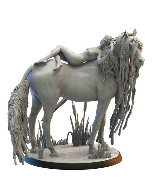 sorciere des marais compatible bretonnian