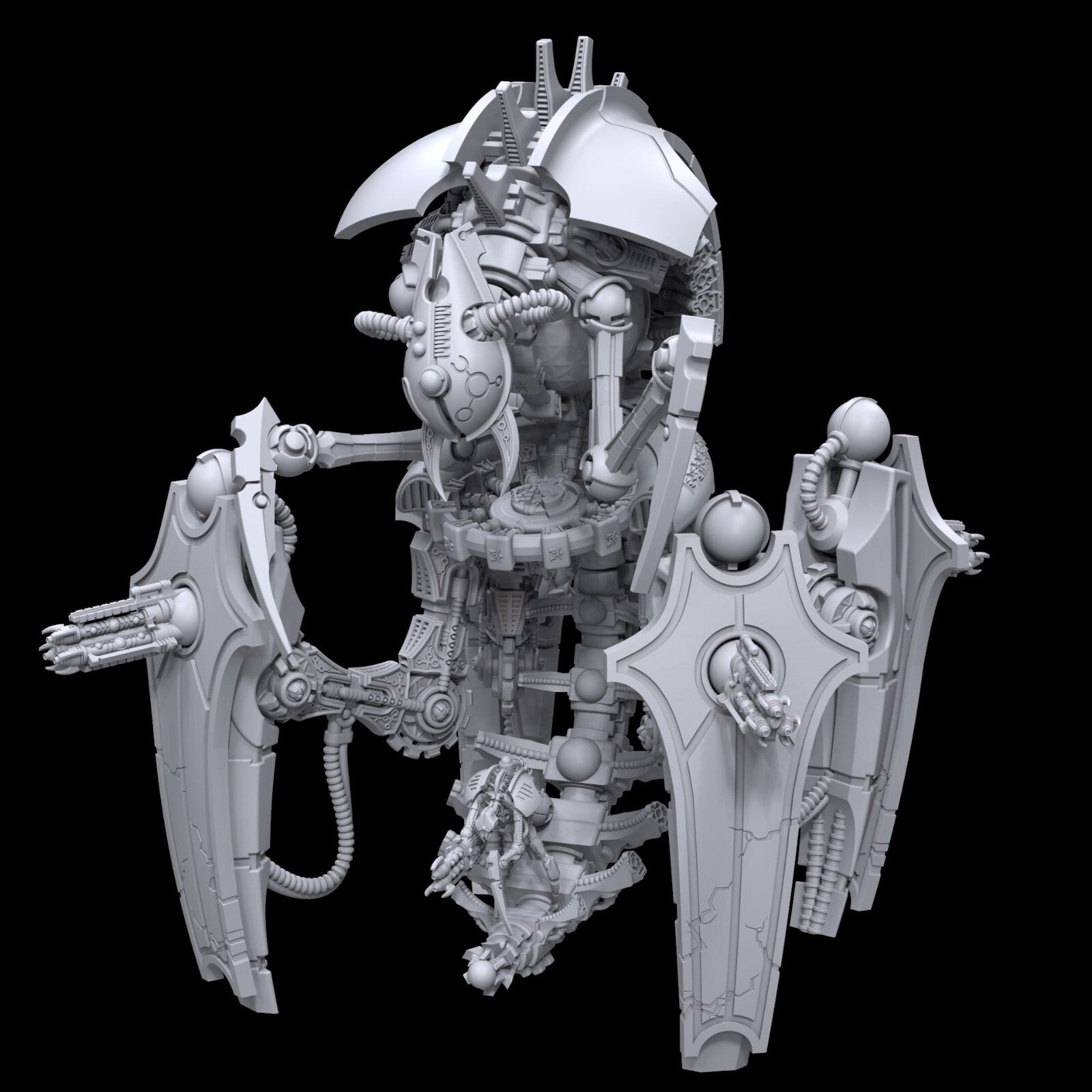 Heteropterekh seigneur de bataille