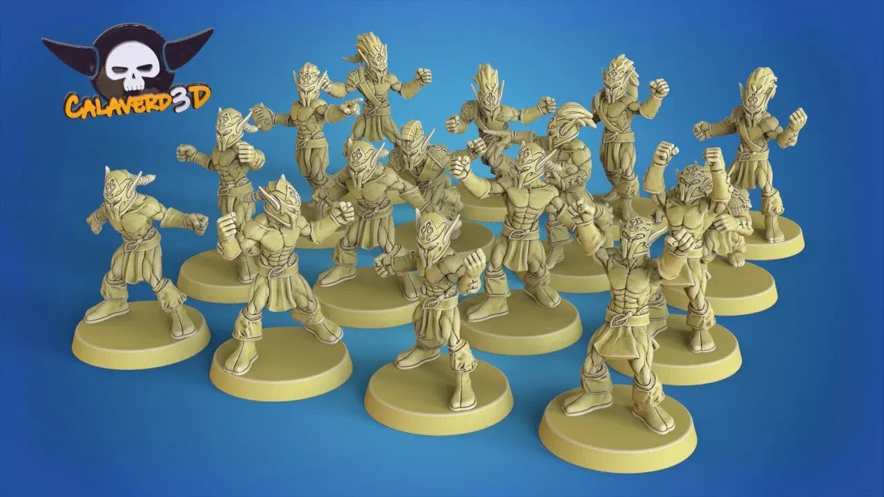 equipe elfes Fantasy Football  fantasy football