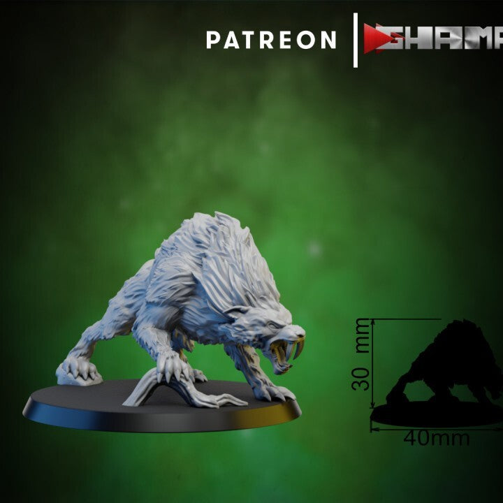 5x dents de sabre persian