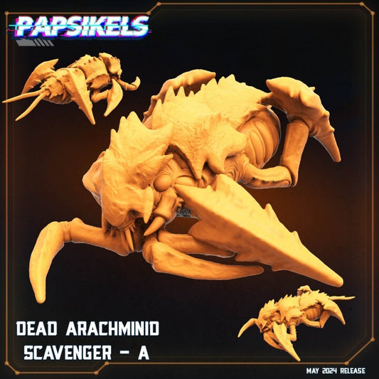 dead arachminid scavenger